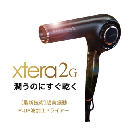 P-UP エクステラ テラヘルツドライヤー2G